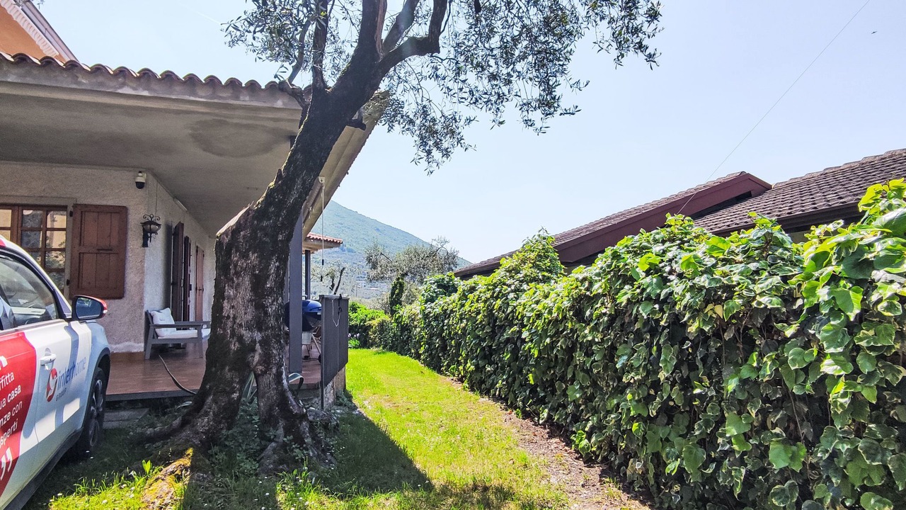 Photo of Others in Assenza