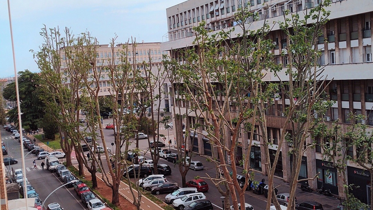 Photo of Others in Quartiere XXIV Don Bosco