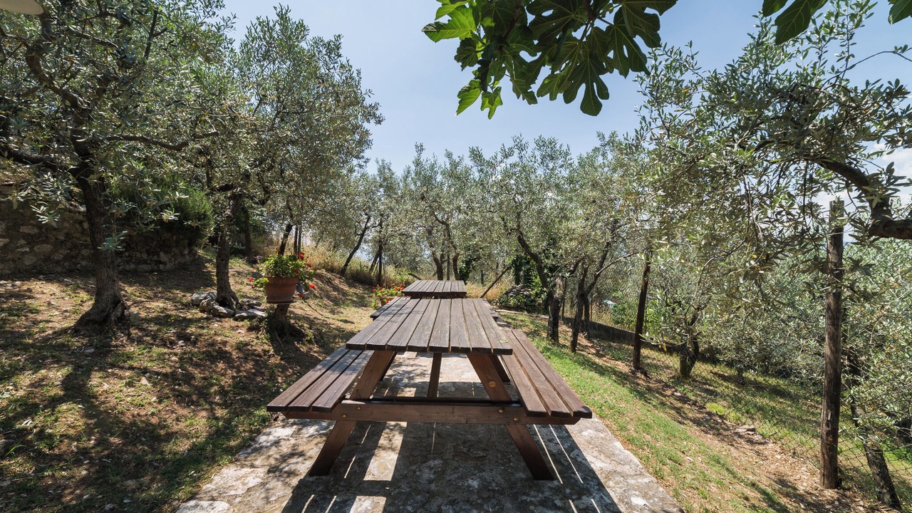 Photo of Outdoor in Bovara