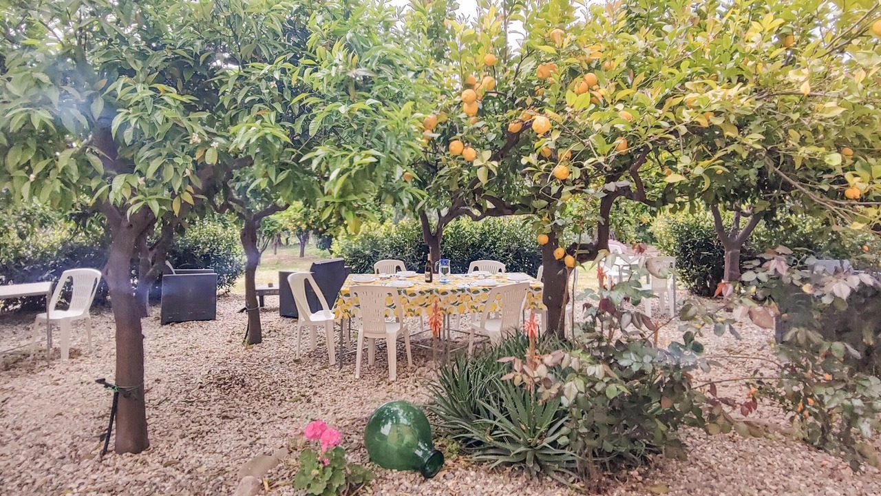 Photo of Others in Mitogio