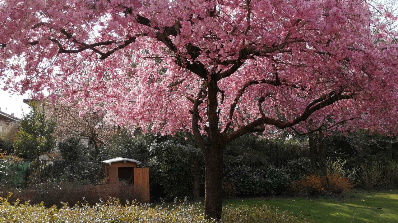 Photo of Outdoor in Carenno