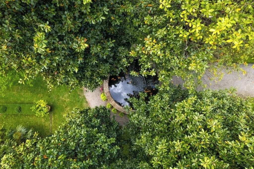 Photo of Outdoor in Piano di Coreglia