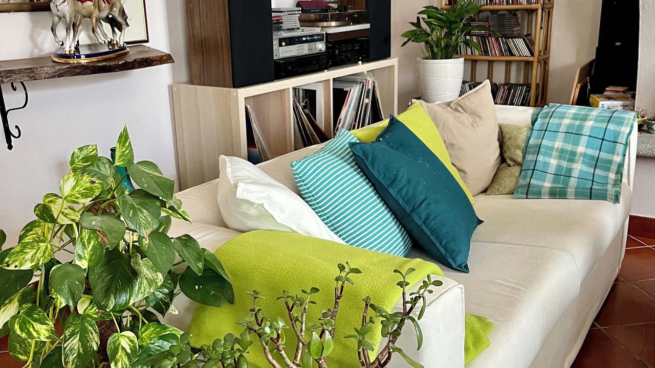 Photo of Livingroom in Bruno