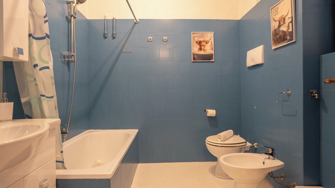 Photo of Bathroom in Introbio