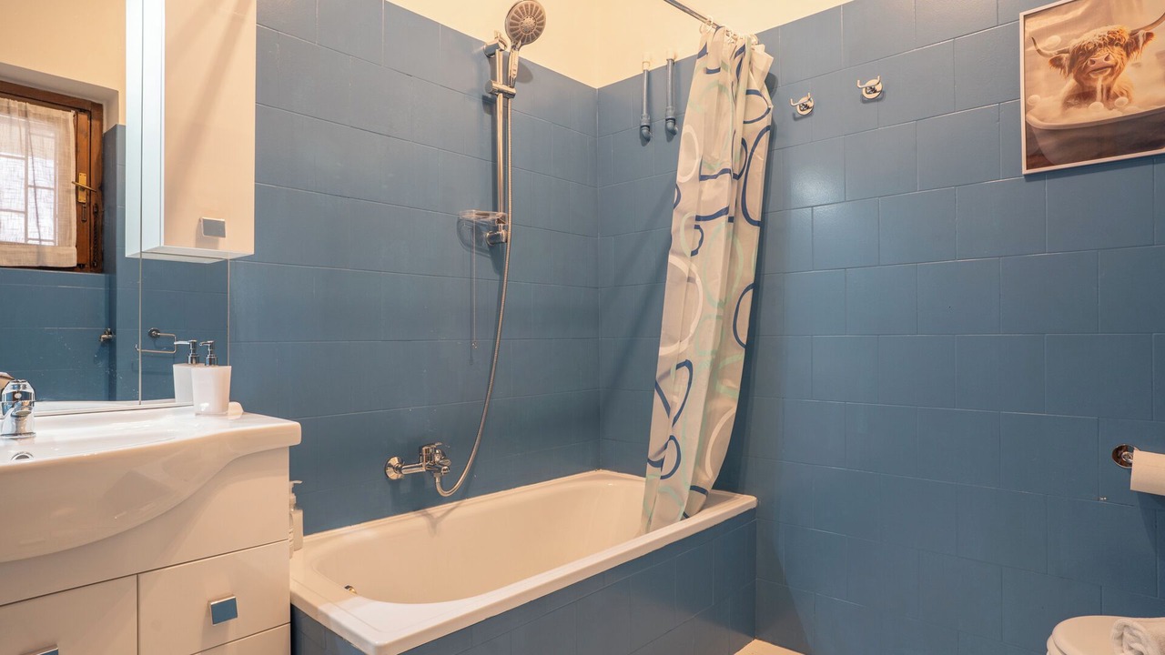 Photo of Bathroom in Introbio