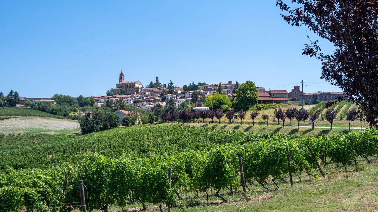 Photo of Others in Vignale Monferrato