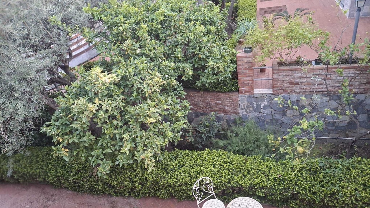 Photo of Patio Balcony in Capo Peloro