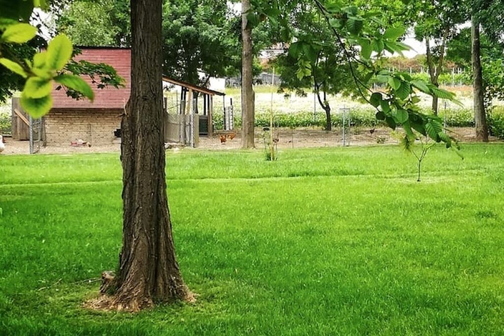 Photo of Outdoor in Pozzonovo