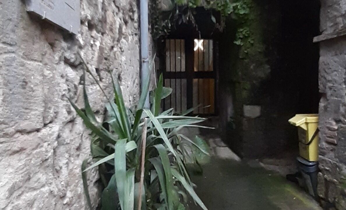 Photo of Outdoor in Vitorchiano