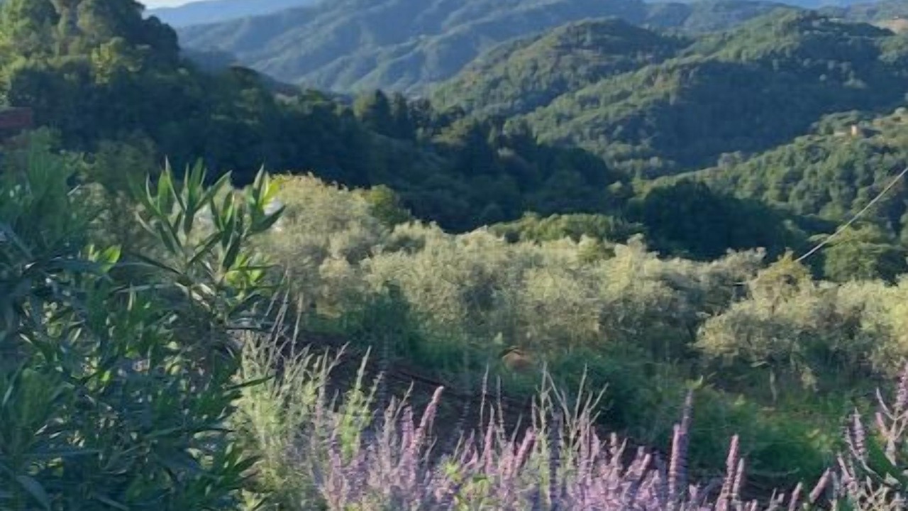 Photo of Others in Loppeglia