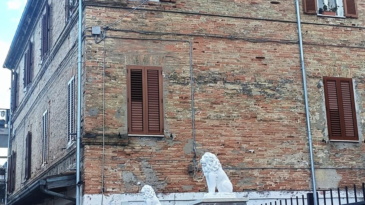 Photo of Outdoor in Grottammare