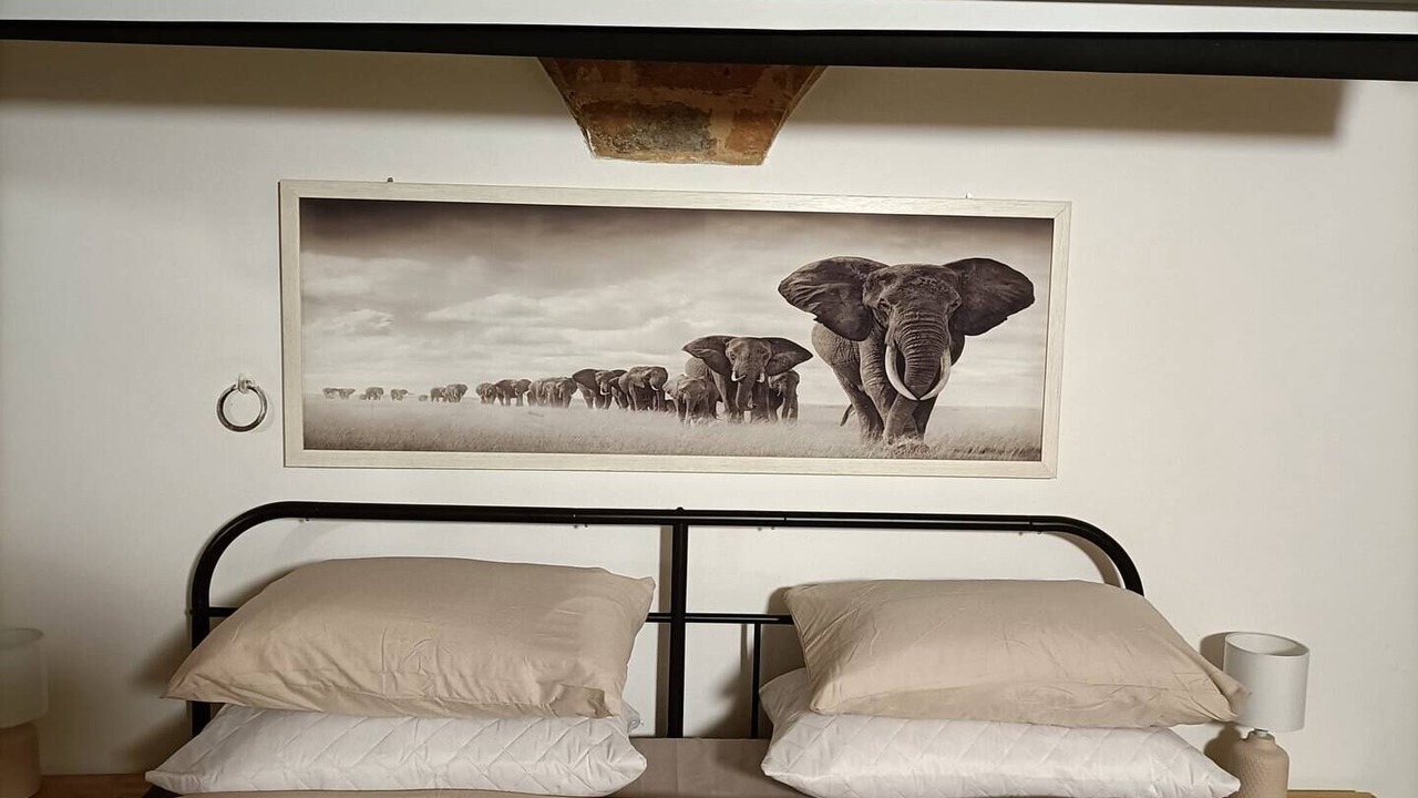 Photo of Bedroom in Offida