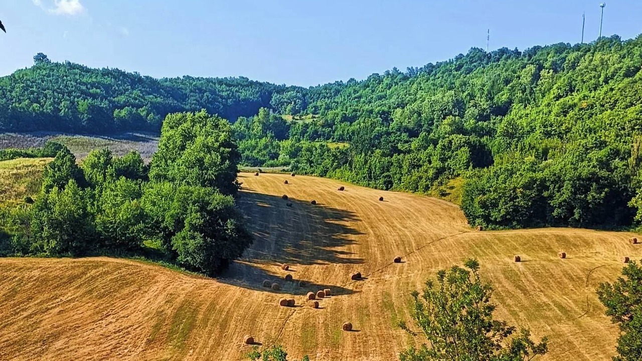 Photo of Others in Santa Luca