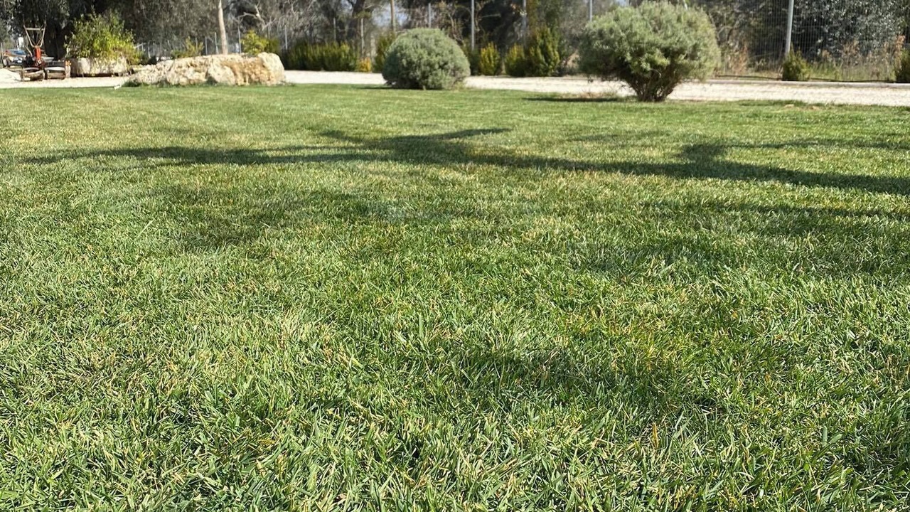 Photo of Outdoor in Latiano