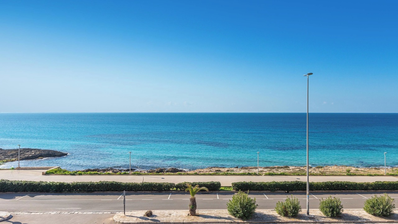 Photo of Others in Province of Lecce