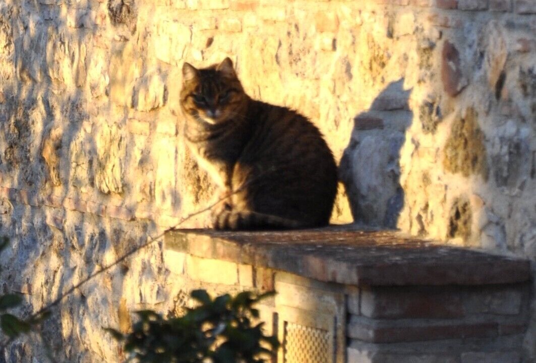 Photo of Others in Gambassi Terme