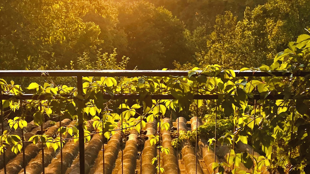 Photo of Outdoor in Giove