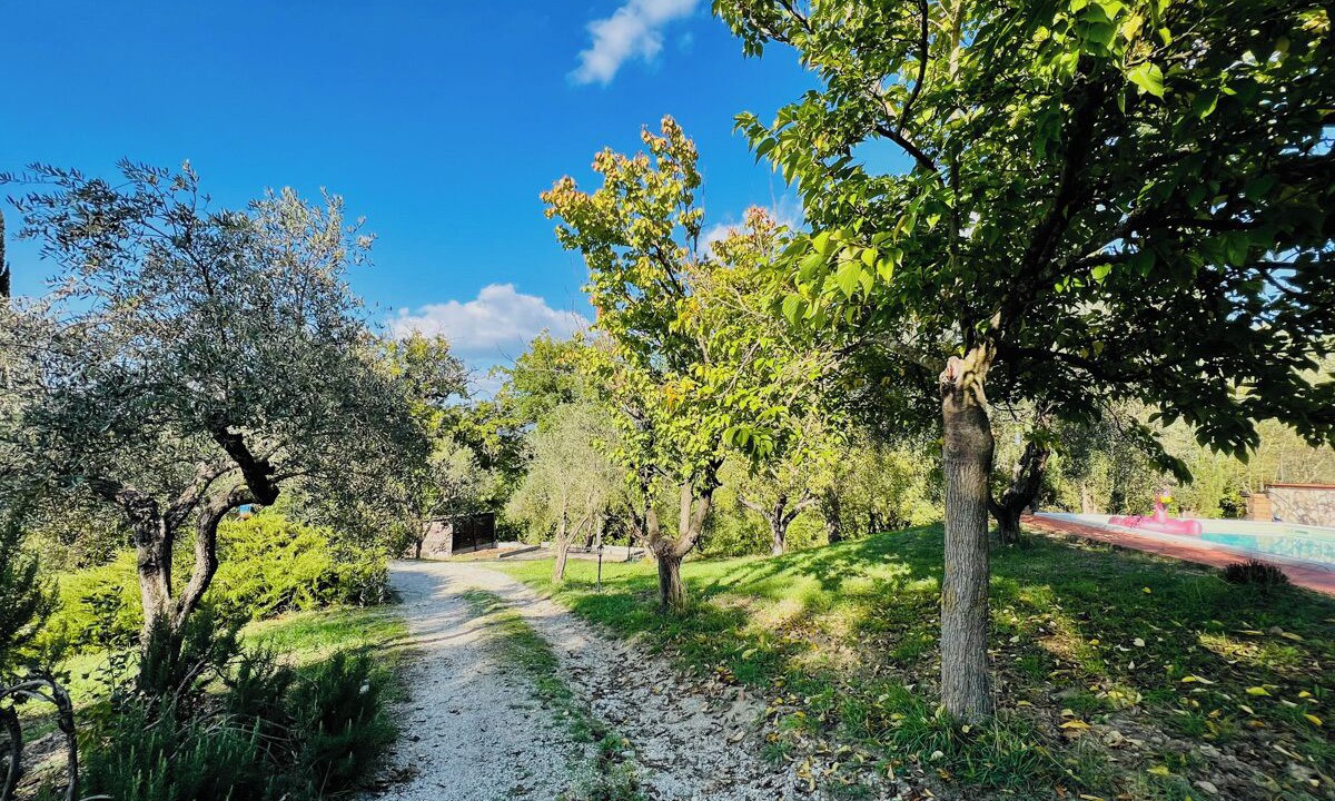 Photo of Outdoor in Giove