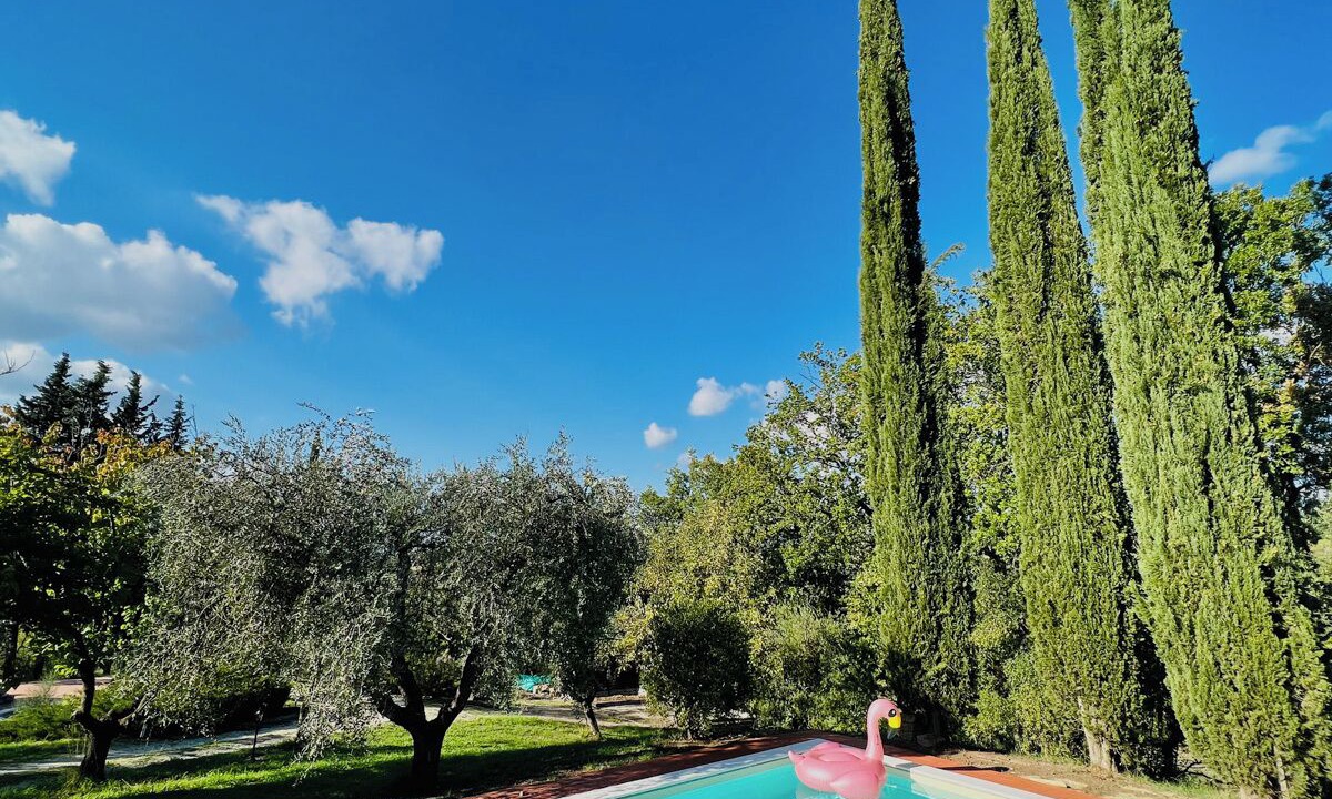 Photo of Outdoor in Giove