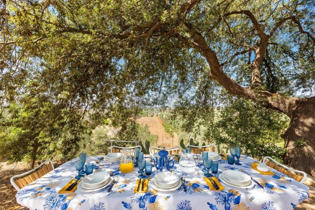Photo of Outdoor in Matino