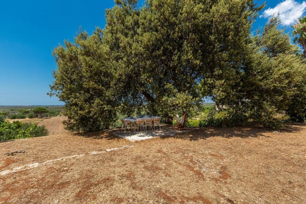 Photo of Outdoor in Matino
