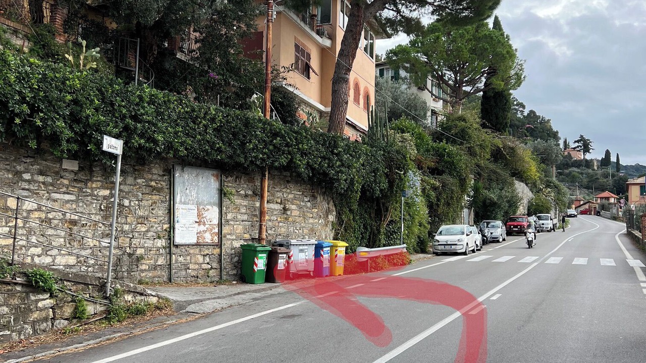 Photo of Others in Pontedecimo