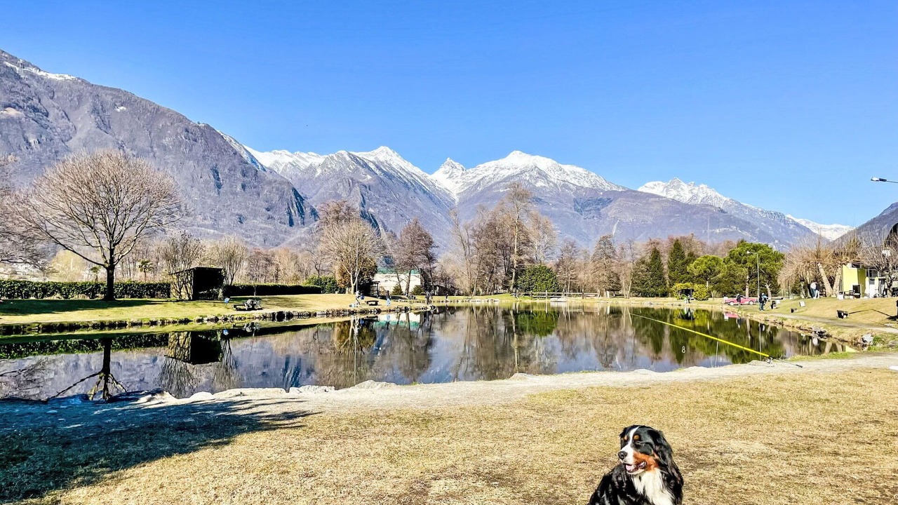 Photo of Outdoor in Samolaco