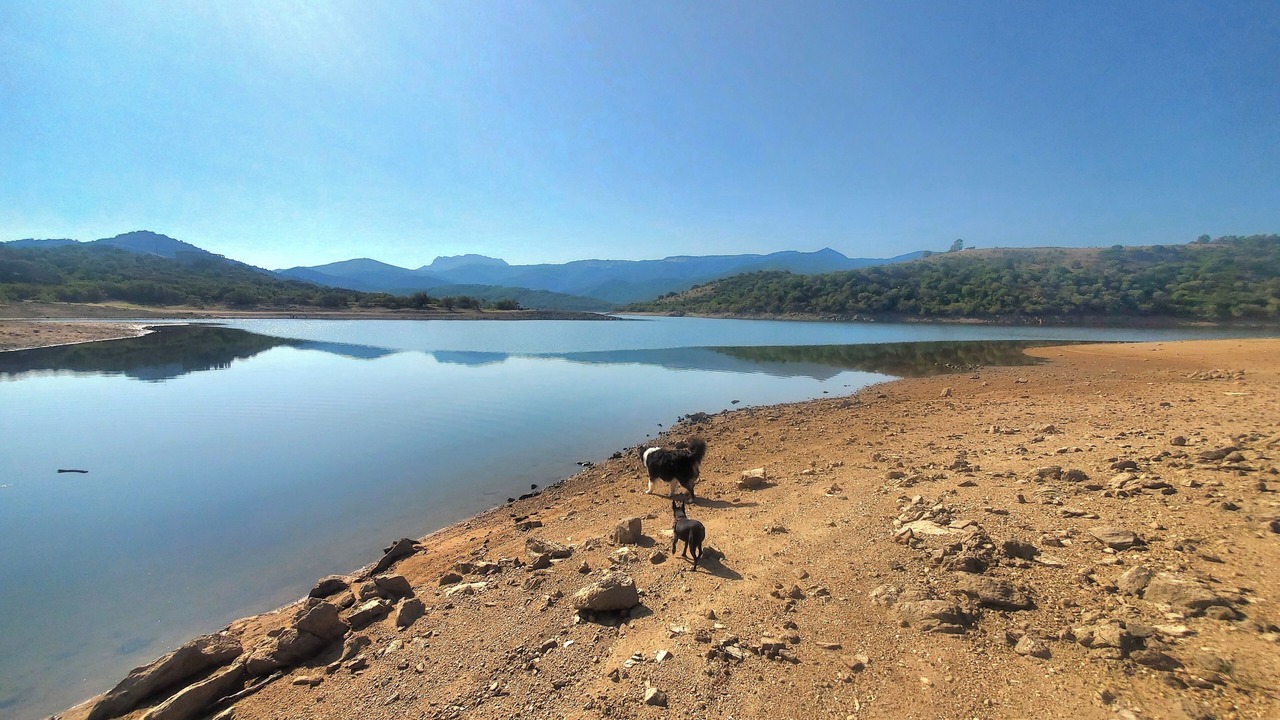 Photo of Others in Sa Castangia