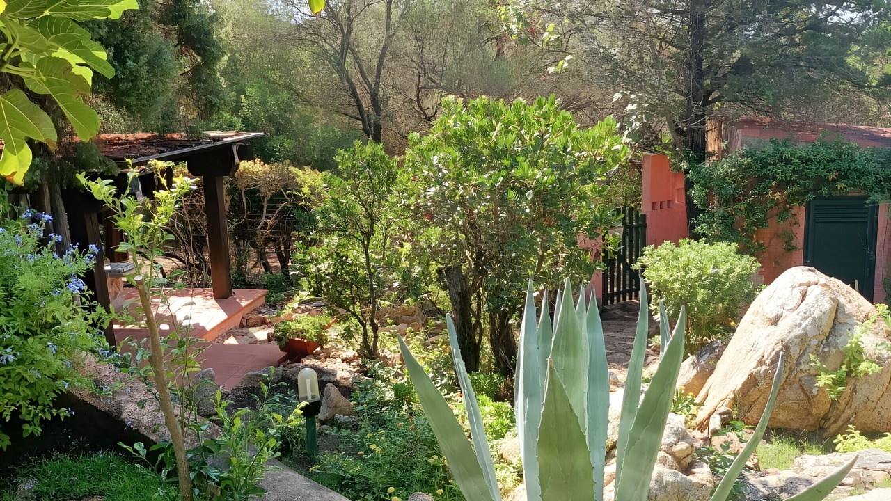 Photo of Outdoor in Tiriddo