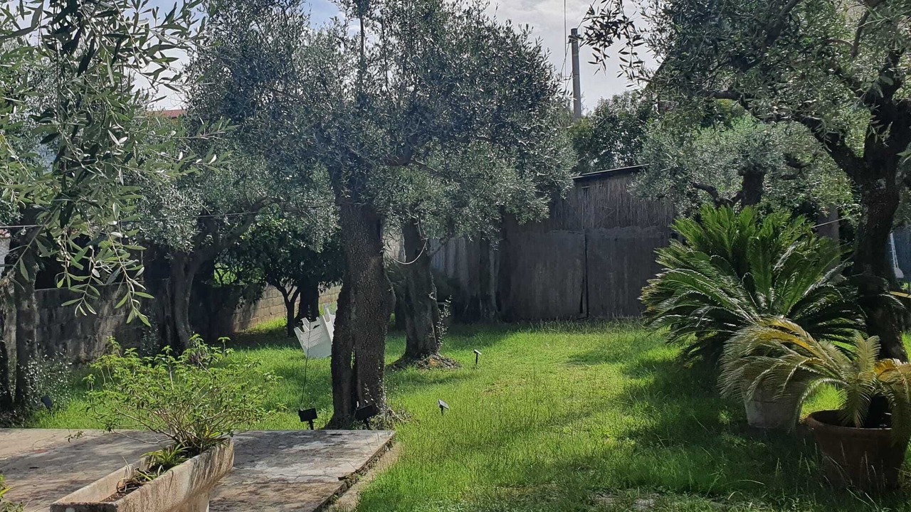 Photo of Outdoor in Querceta