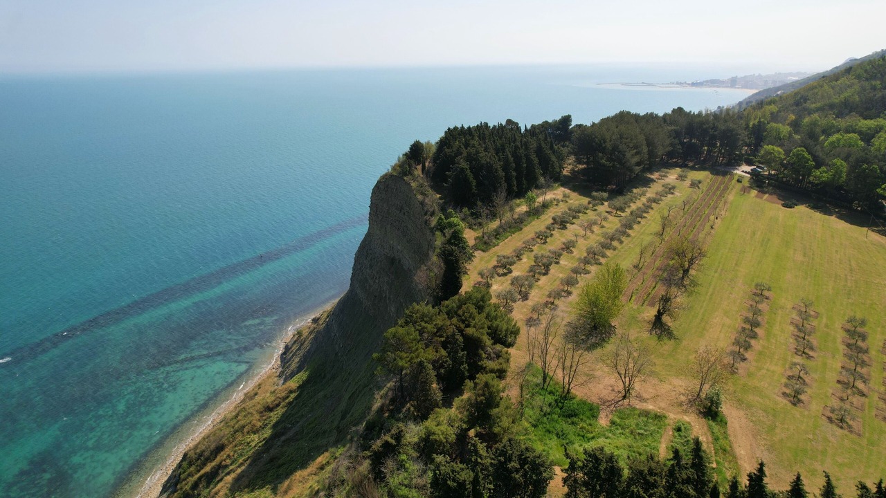 Photo of Outdoor in Pesaro