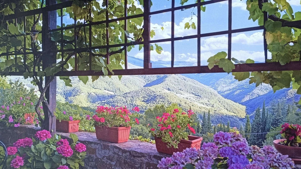 Photo of Outdoor in Dicomano