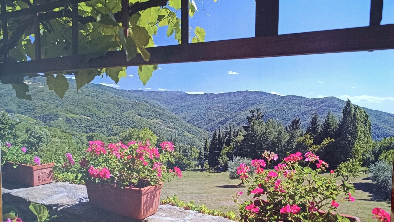 Photo of Others in Dicomano