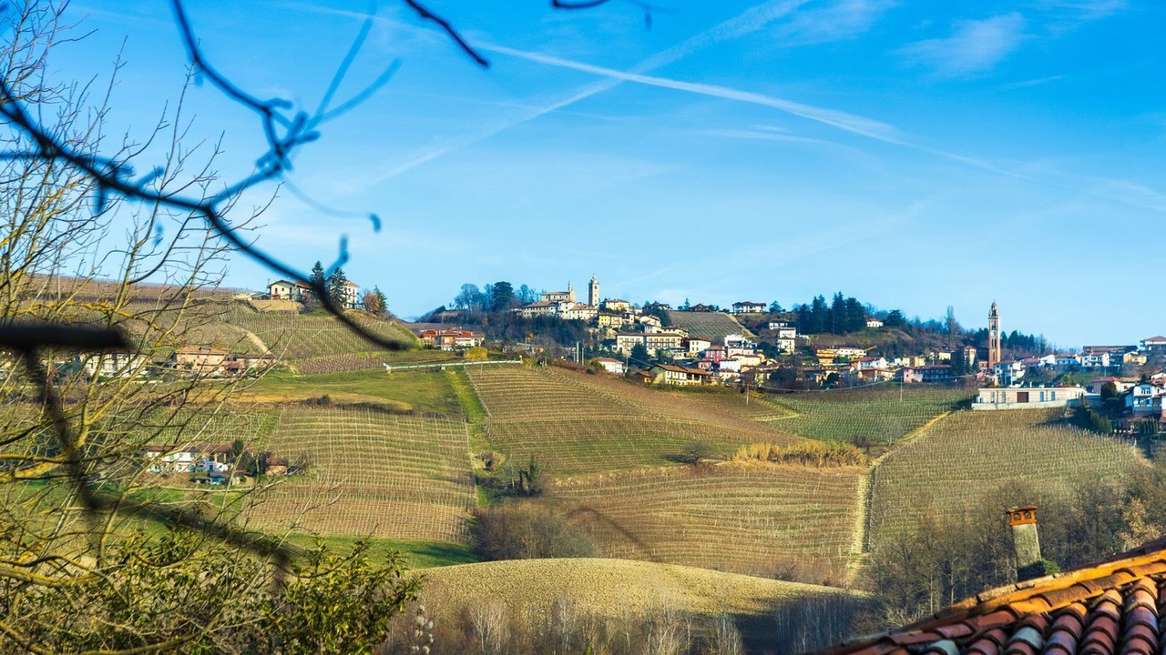 Photo of Others in Monforte d'Alba