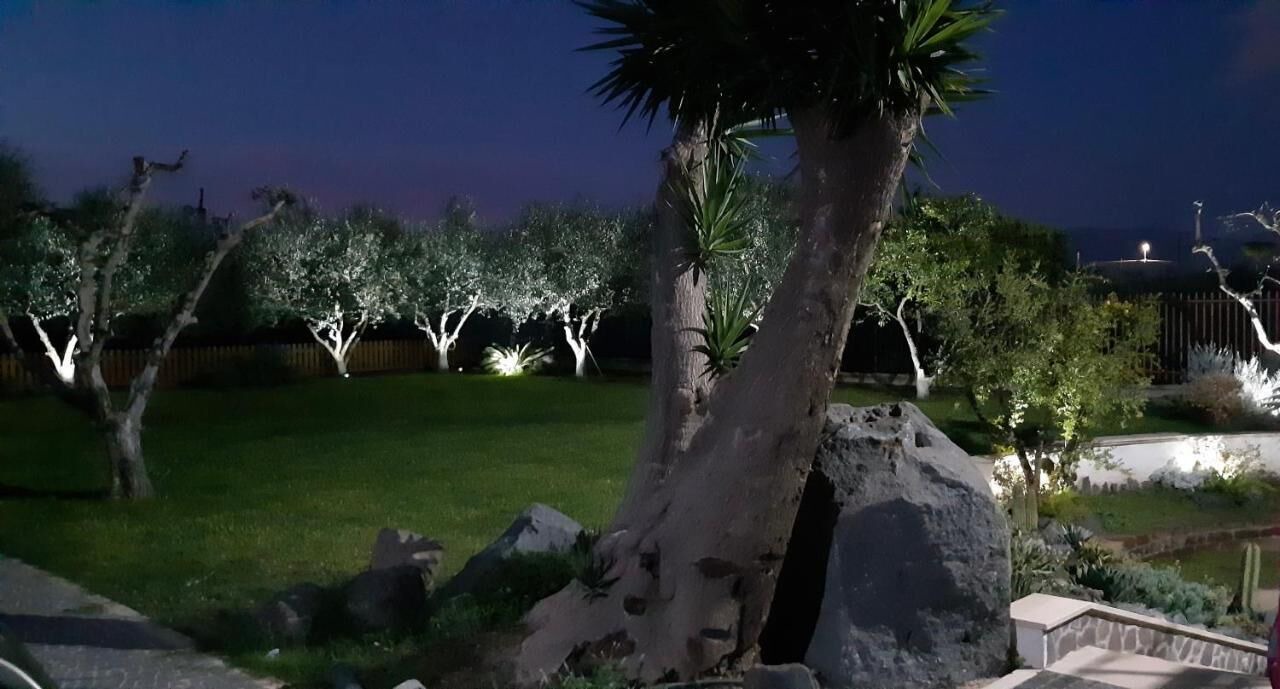 Photo of Outdoor in Pompei