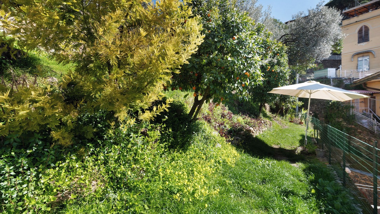 Photo of Outdoor in Sori