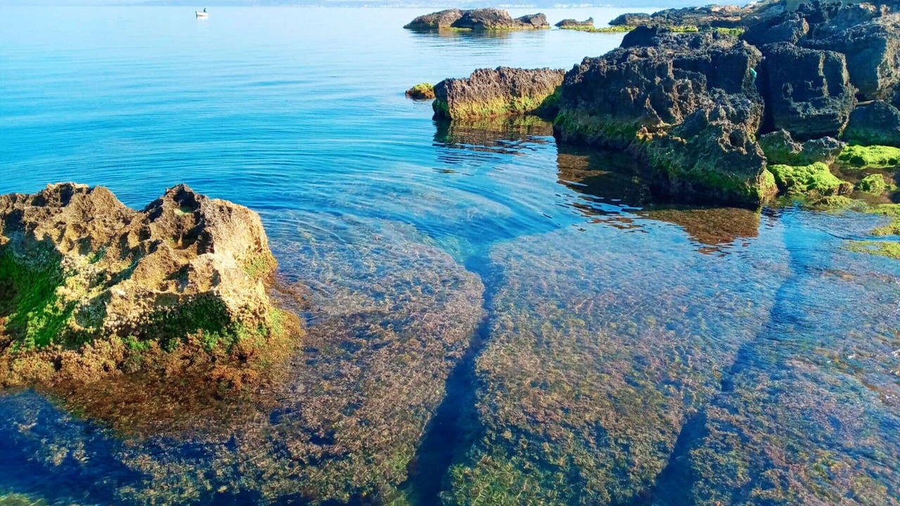 Photo of Others in Province of Lecce