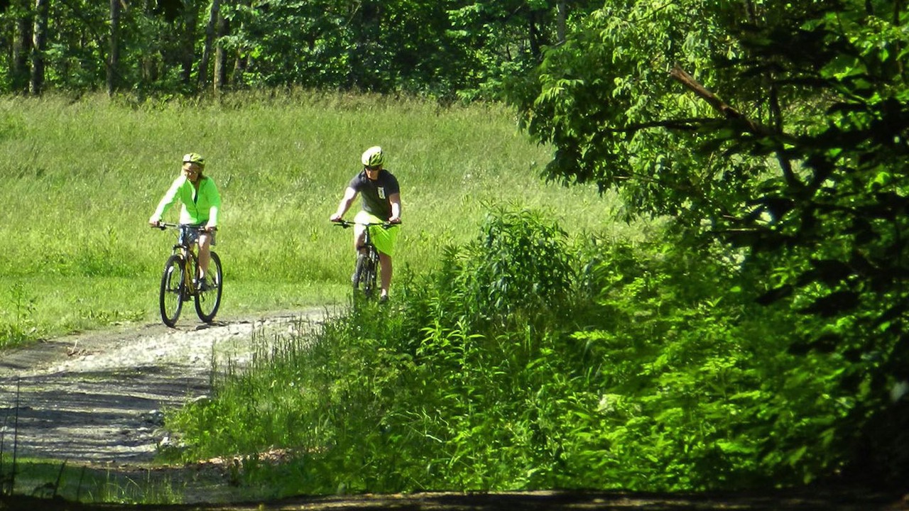Photo of Others in San Venanzo