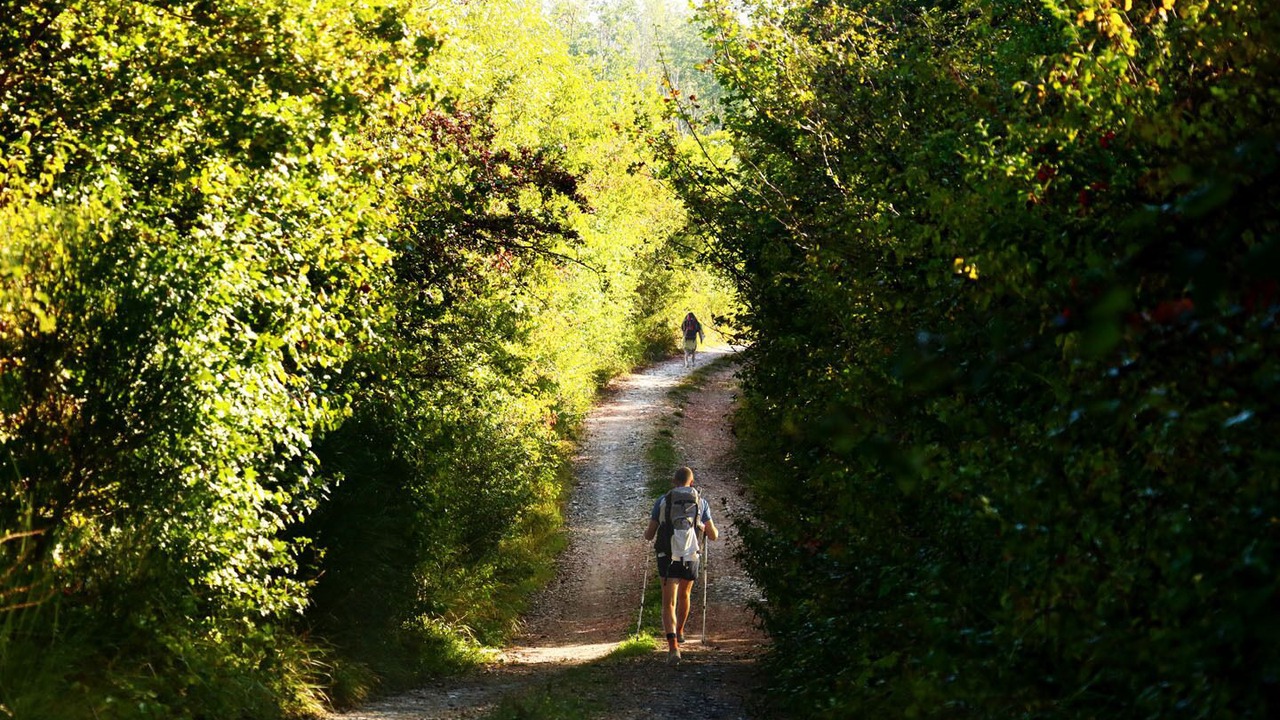 Photo of Others in San Venanzo