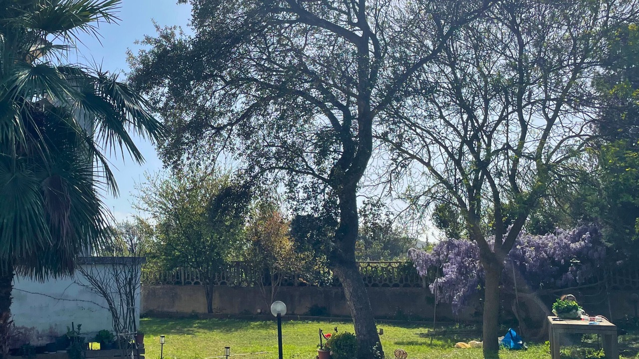 Photo of Outdoor in Carbonia