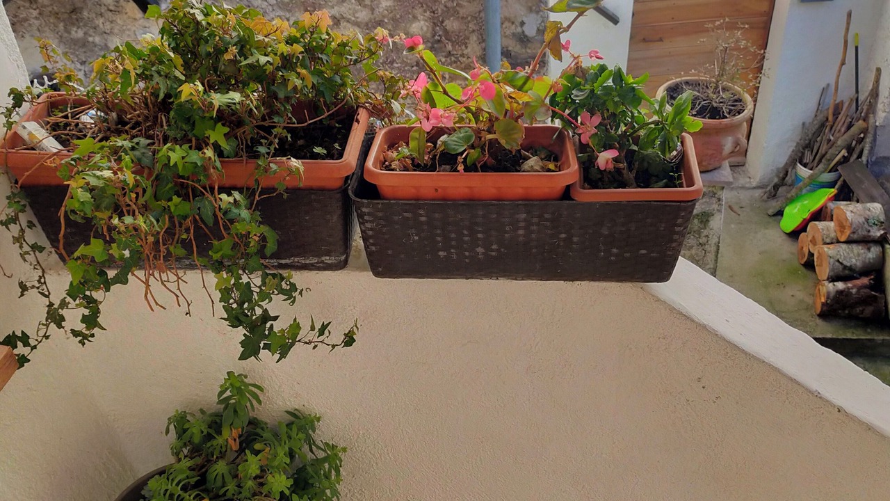 Photo of Outdoor in Lisciano di Rieti