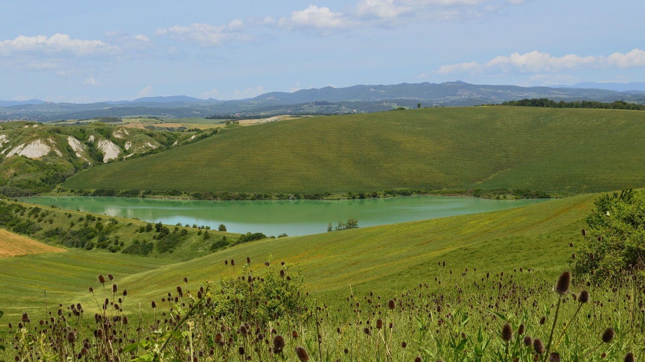 Photo of Others in Ponte di Gabbiano