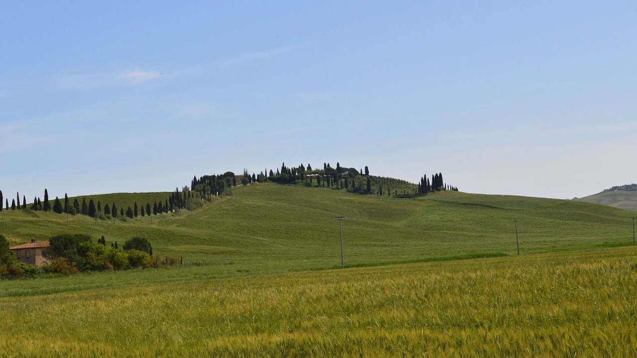 Photo of Others in Ponte di Gabbiano