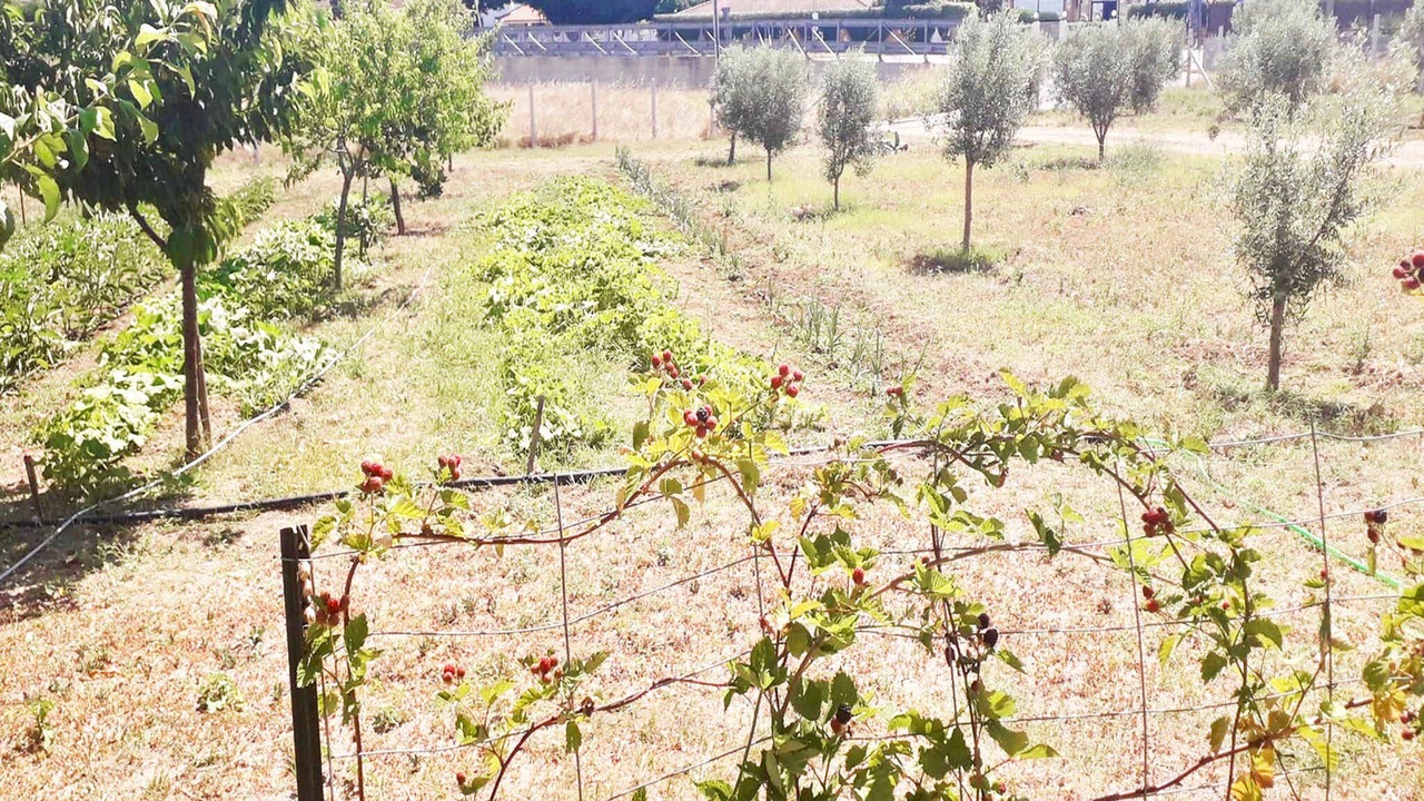 Photo of Outdoor in Isola di Capo Rizzuto