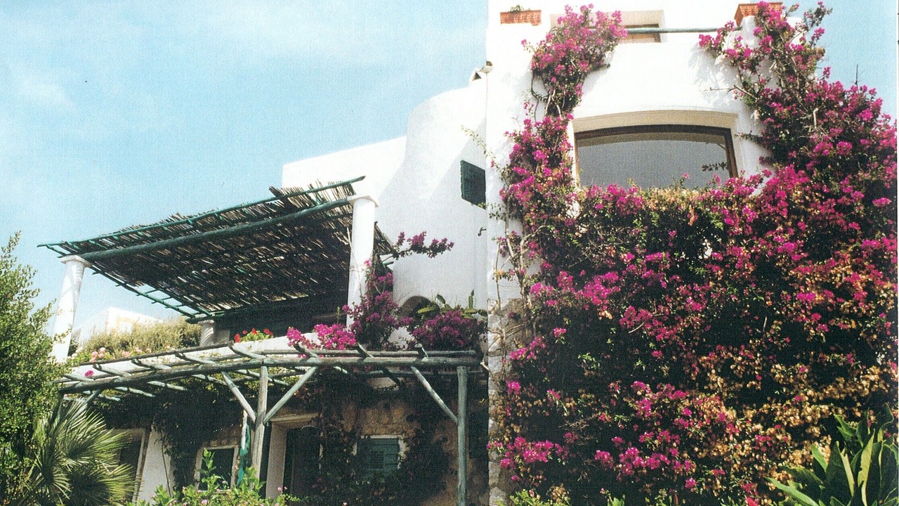 Photo of Outdoor in San Felice Circeo