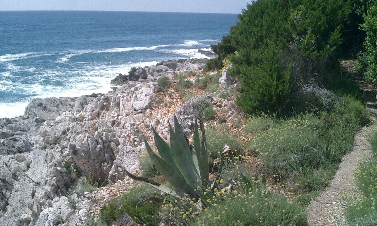 Photo of Others in San Felice Circeo