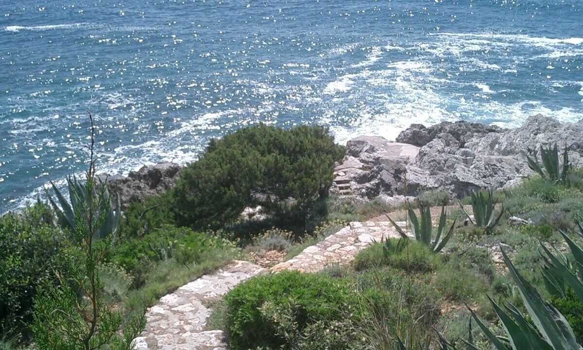 Photo of Others in San Felice Circeo