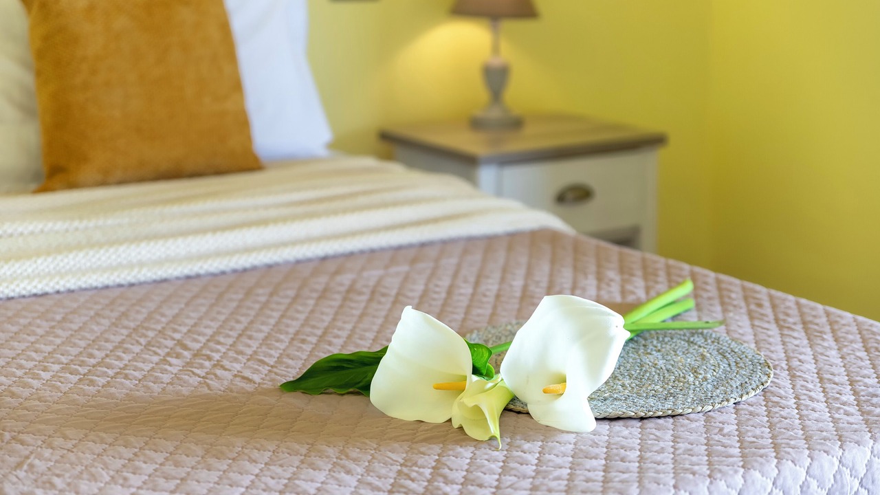 Photo of Bedroom in Olmedo