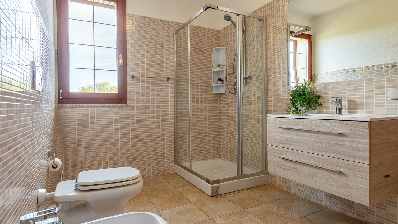 Photo of Bathroom in Olmedo