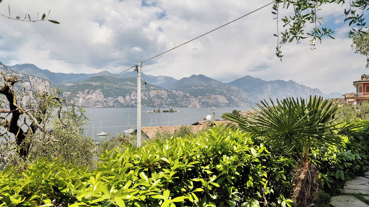 Photo of Others in Assenza